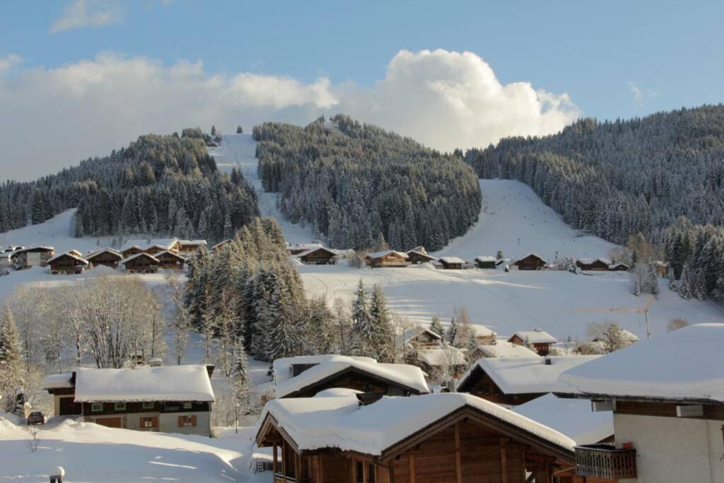 Bel App Aux Gets 10Mn Centre Ski Parking Tennis Prive Les Gets Buitenkant foto